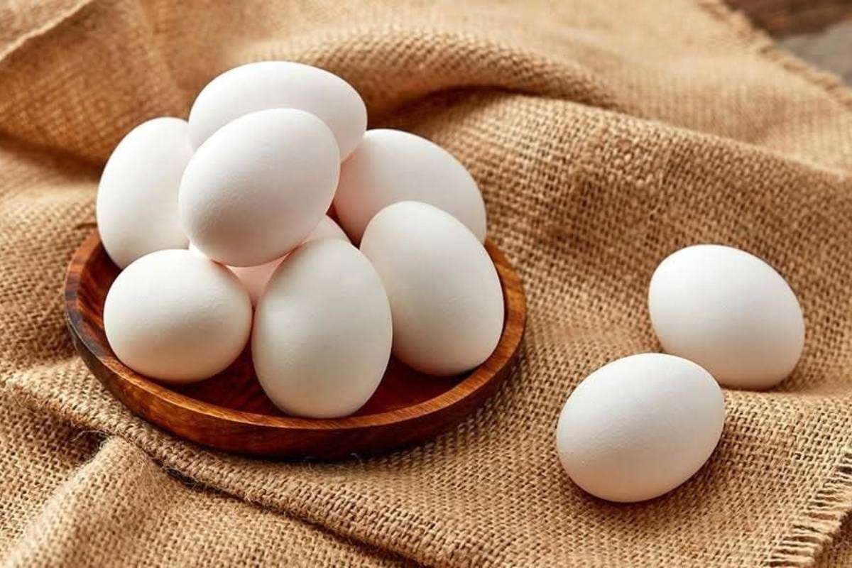tips to store eggs for long time