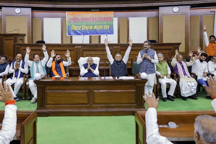 NDA विधायक दल के नेता चुने गए नीतीश कुमार ने कुछ इस अंदाज में विधायकों से की मुलाकात, देखें वीडियो