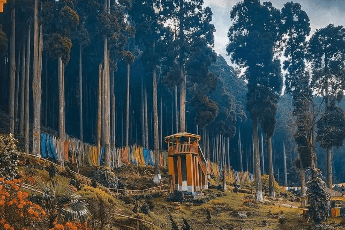 Winter Holiday Destinations in India