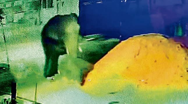 Rourkela News : कोयलनगर में फूल तोड़ रही बुजुर्ग महिला को हाथी ने कुचलकर मार डाला