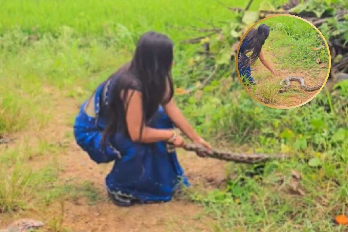 Viral Video : साड़ी पहनी महिला ने अजगर की पूंछ पकड़ी, हैरान कर देने वाला वीडियो आया सामने
