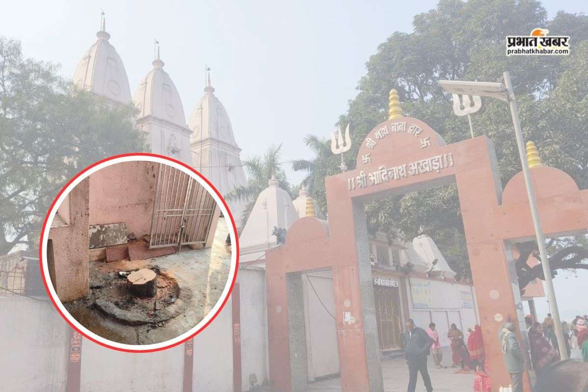 Buxar: SDM के सरकारी आवास के रास्ते मंदिर में घुसे चोरों ने उड़ाया करोड़ों का पेड़