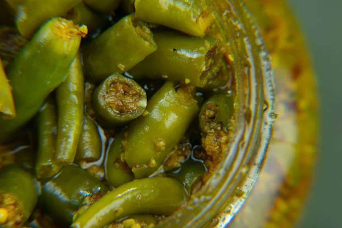 Gujrati Green Chilli Pickle: स्वाद में जबरदस्त है गुजराती हरी मिर्च का अचार, फटाफट नोट करें रेसिपी