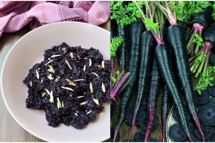 Kali Gajar Ka Halwa Recipe: मिनटों में बनाए शादियों जैसा स्वादिष्ट और लजीज काली गाजर का हलवा