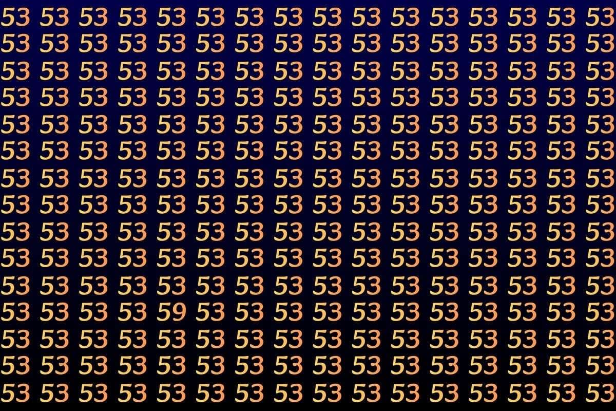 इस ऑप्टिकल इल्यूजन फोटो में 59 ढूंढिए