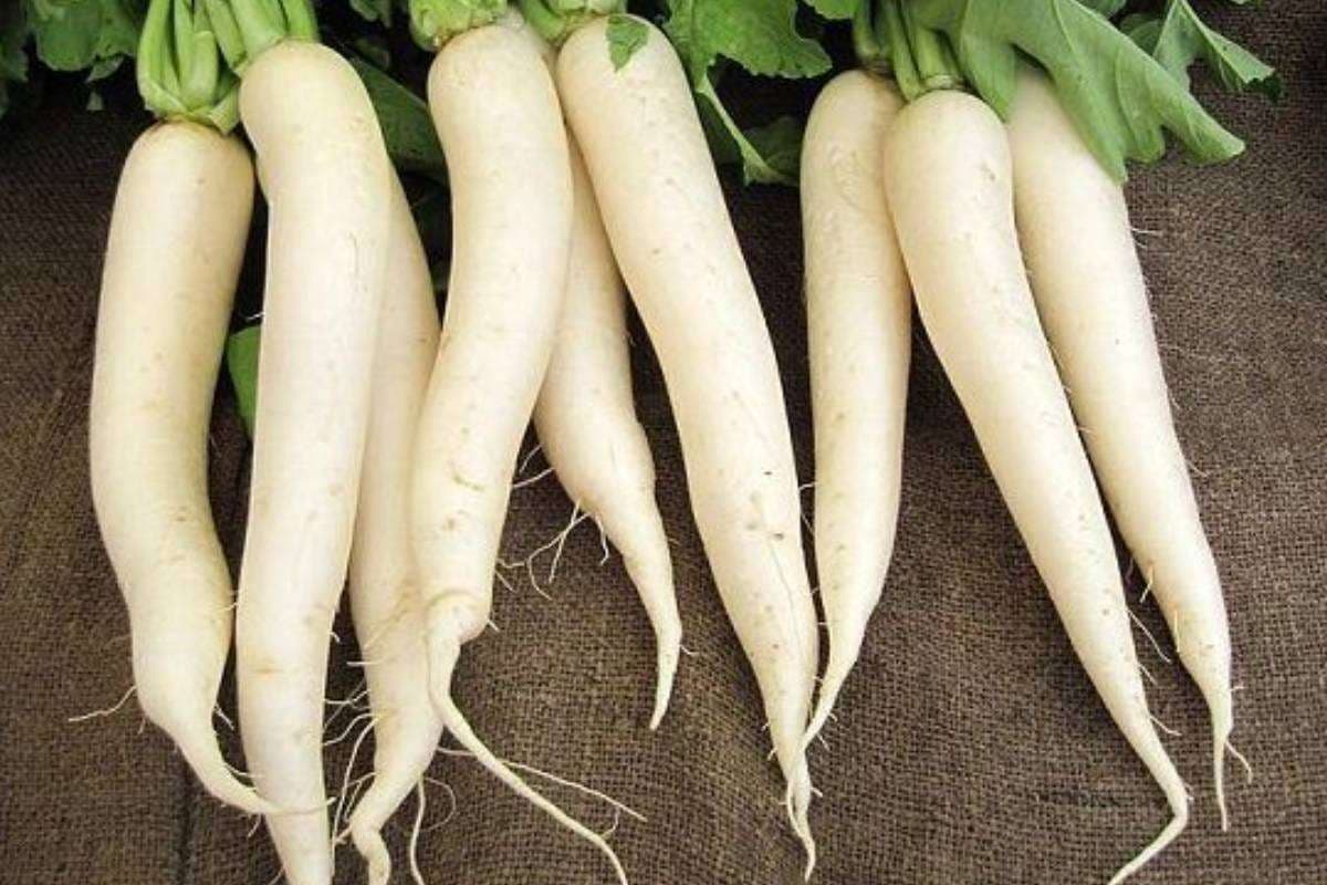 Radish Manchurian Recipe and Ingredients