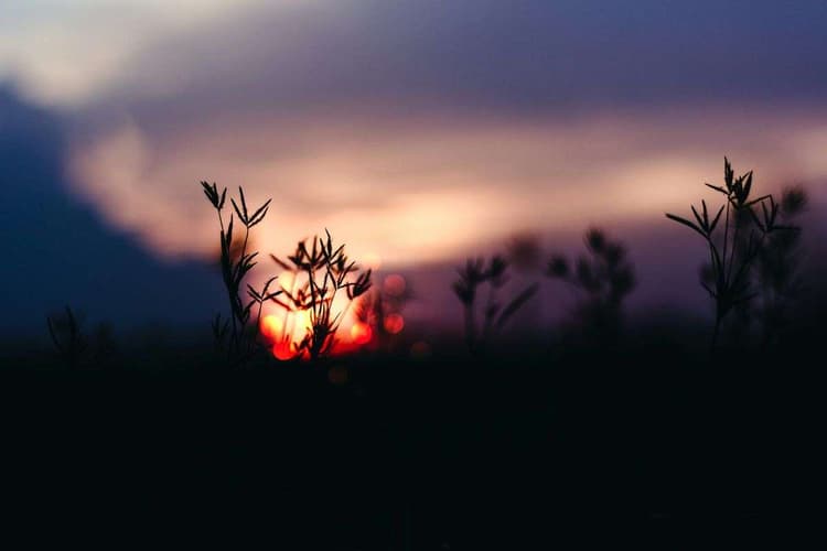 Winter Solstice 2025: आने वाला है साल का सबसे छोटा दिन, जानें कब है शीतकालीन संक्रांति