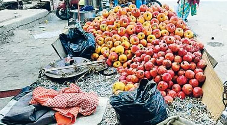 Siwan News : सिंगल यूज पॉलीथिन पर प्रतिबंध बेअसर, बढ़ रहा पर्यावरण संकट