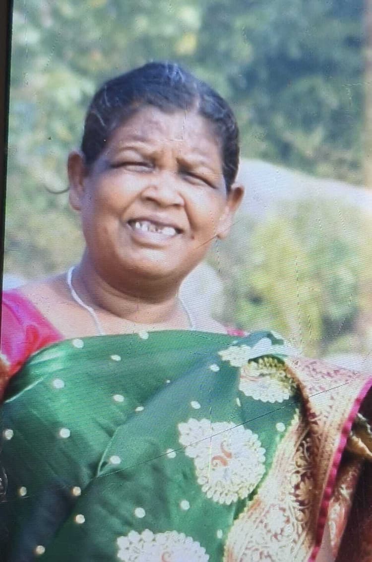 घर के आंगन में हाथी ने महिला को पटक कर मार डाला