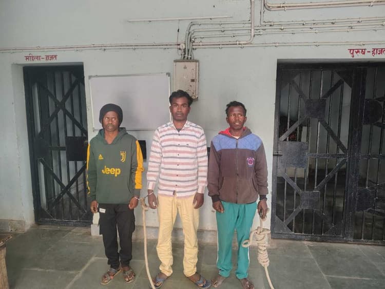 तीन वारंटियों को किया गिरफ्तार