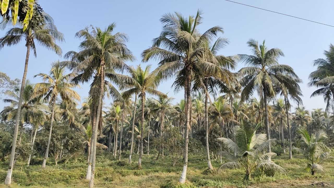 सिंहेश्वर मंदिर में अरघा से होगी पूजा-अर्चना