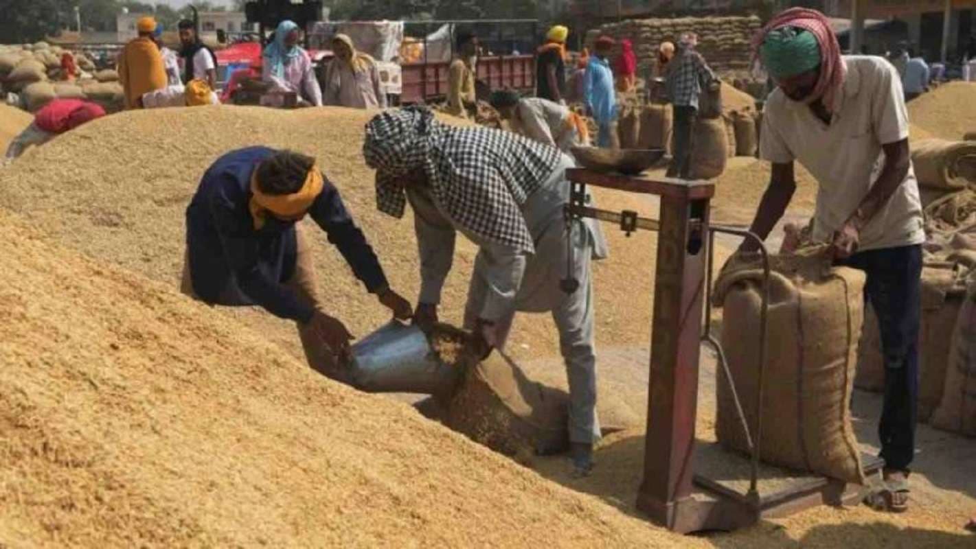 Bihar News: मजदूर के बाद अब बिहार से अनाज का ‘पलायन’, इस विभाग की लापरवाही से पंजाब-हरियाणा हो रहे मालामाल