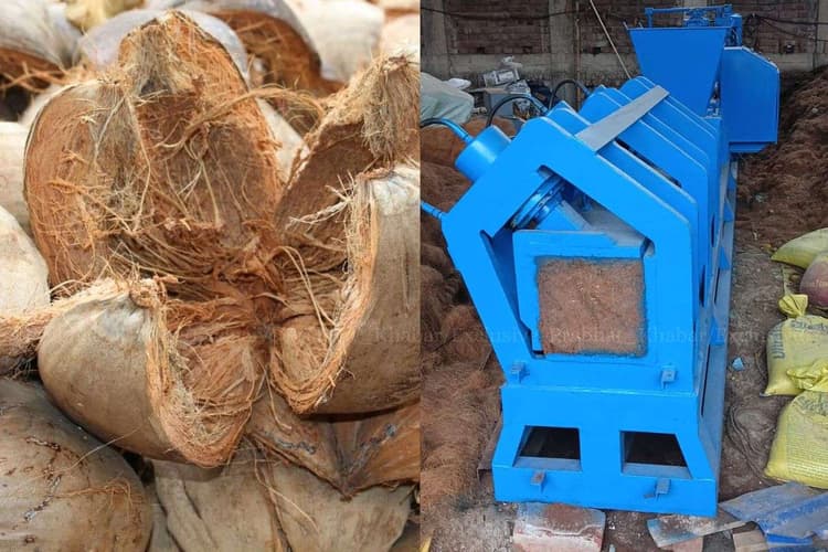 Patna News: नारियल वेस्ट से रोजाना इतने टन होता है कचरा उत्पादन, अब कोकोपीट व फाइबर में बदलेगी निगम