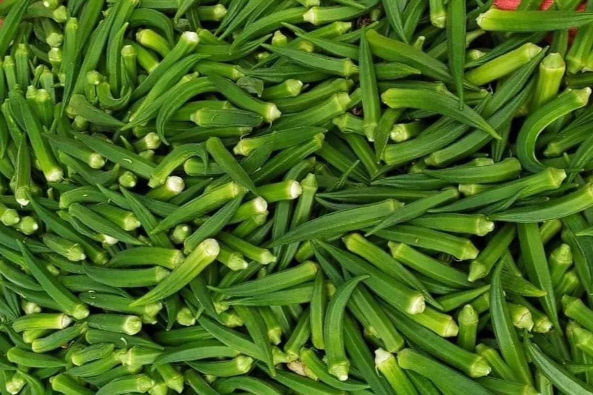 Bhindi
