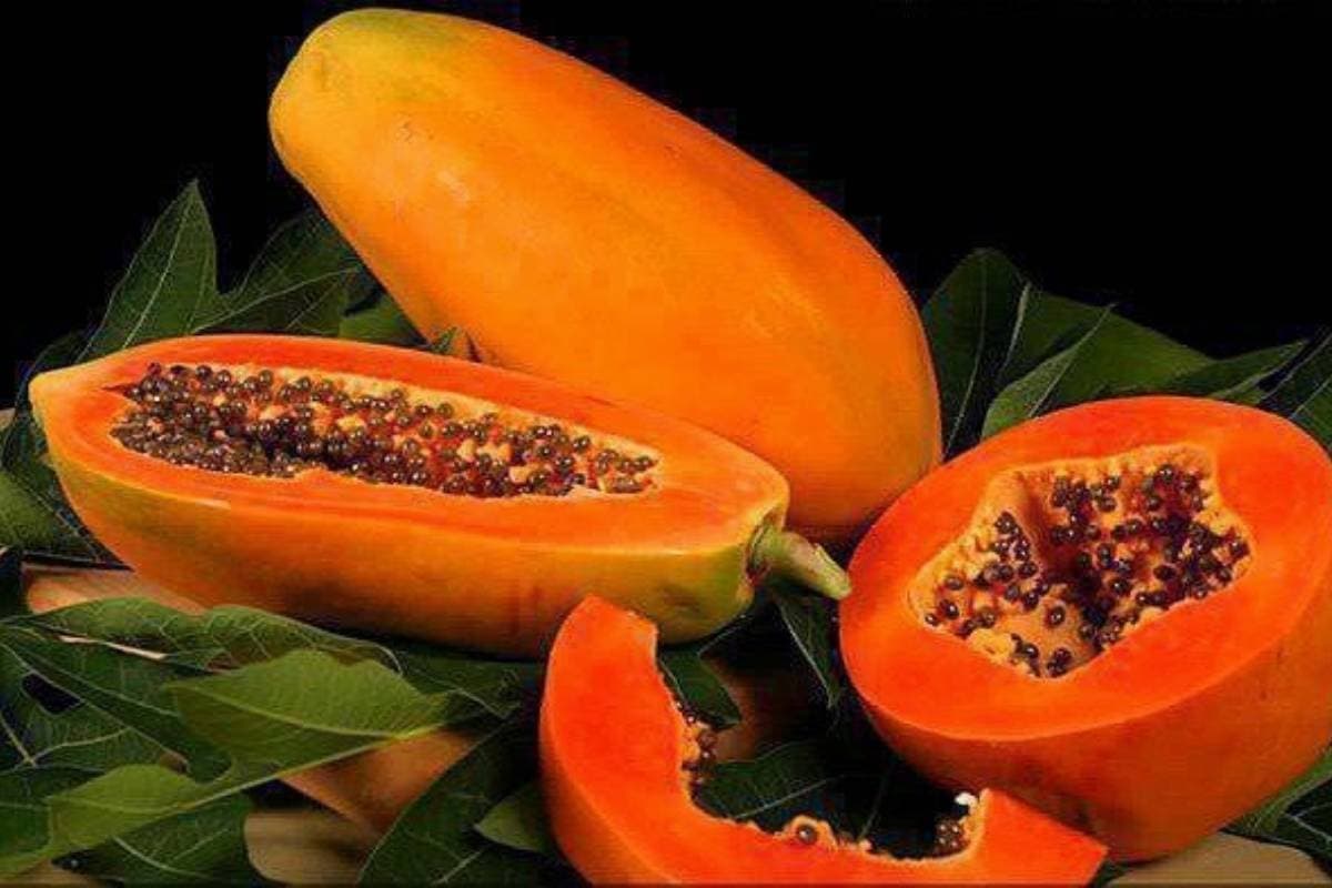Papaya