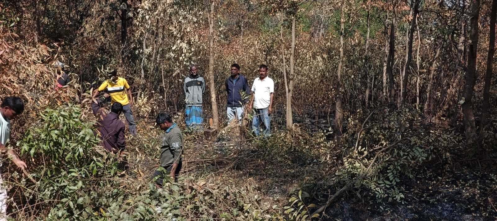 Chaibasa News : हाथी को ट्रेस नहीं कर पाया विभाग दहशत से गांवों में पसरा सन्नाटा