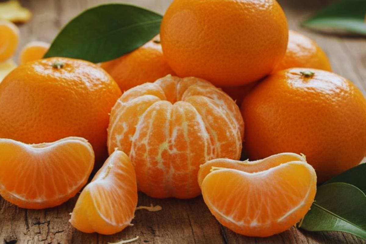 Fresh Oranges Image