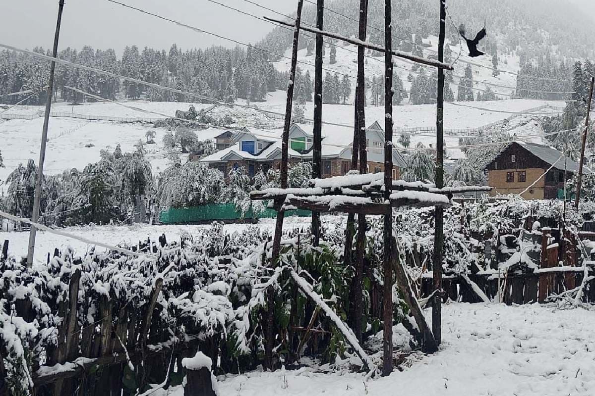 बारिश और बर्फबारी का अलर्ट, IMD ने दिया वेदर अपडेट
