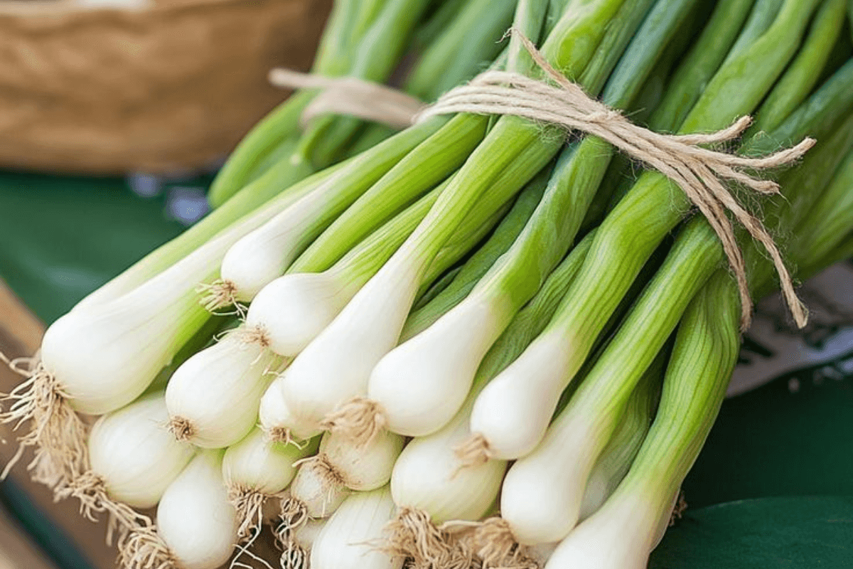 हरे प्याज (स्प्रिंग ऑनियन)