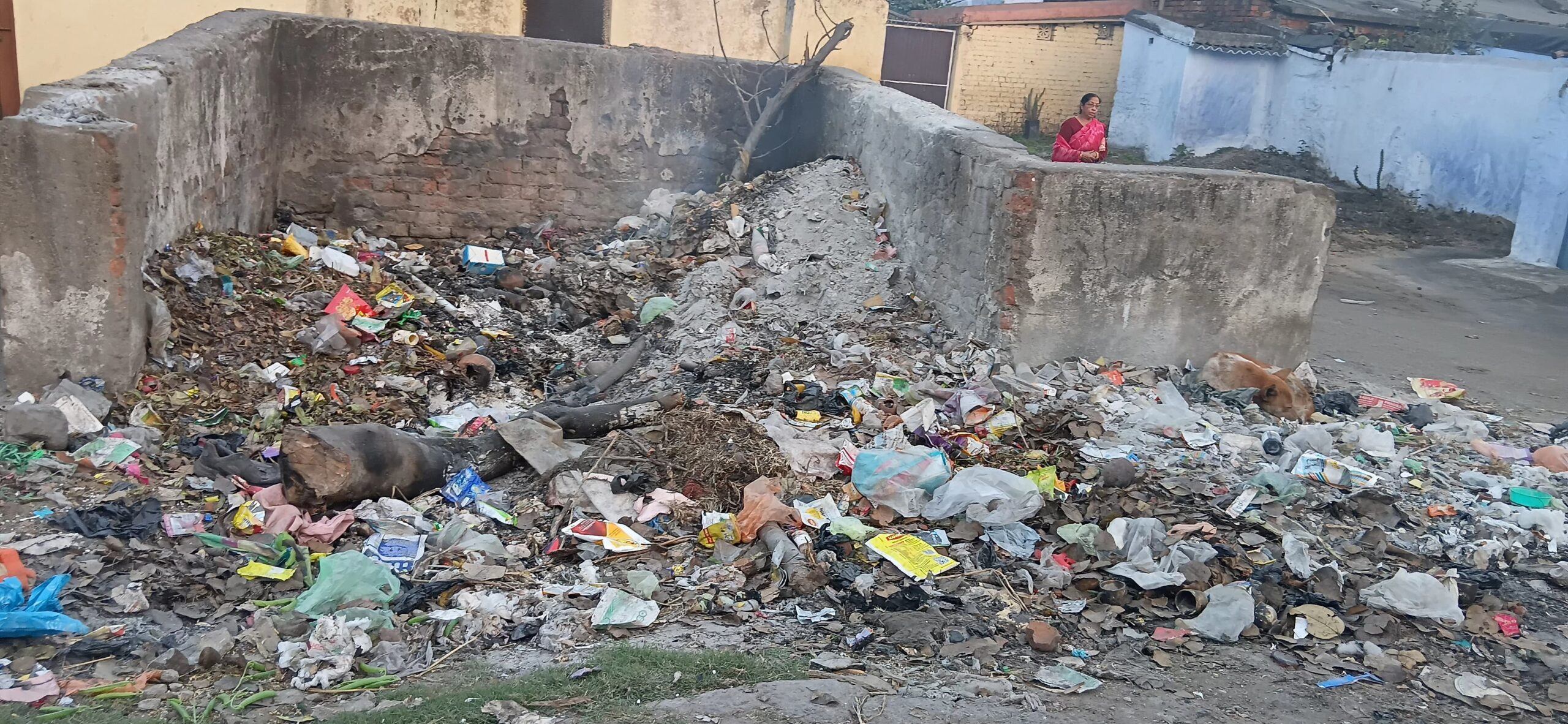 Bokaro News : मुहल्लों में ठीक नहीं है सफाई की स्थिति