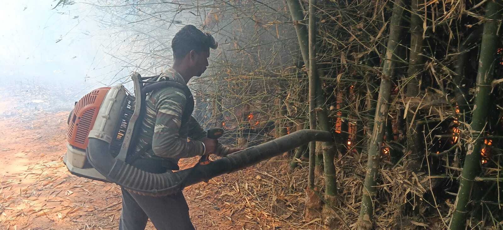 East Singhbhum News : चौठिया के जंगल में भीषण आग, घरों तक पहुंचीं लपटें