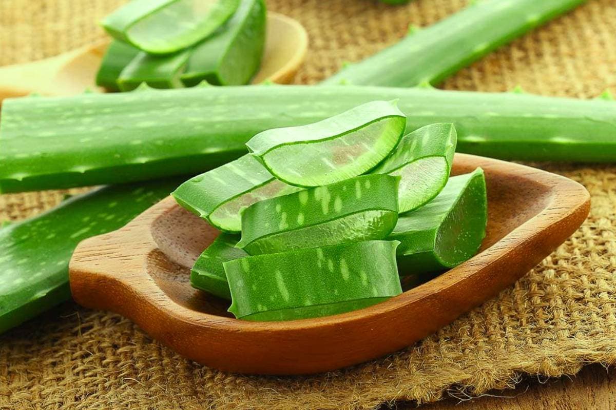 Aloe Vera Detox Benefits