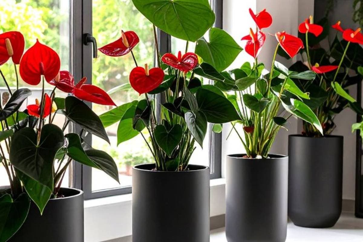 Best Indoor Flowering Plants Grow in Water