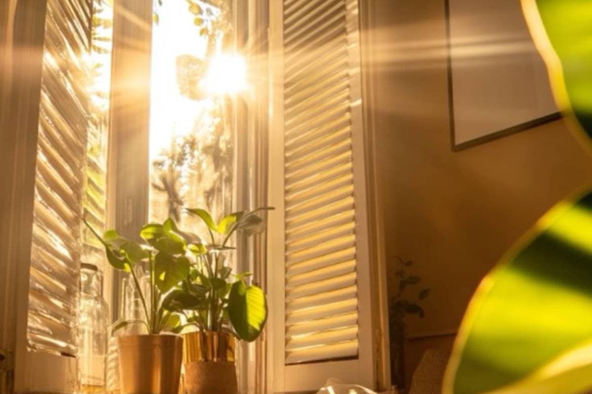 Morning Habits for Success by Sadhguru