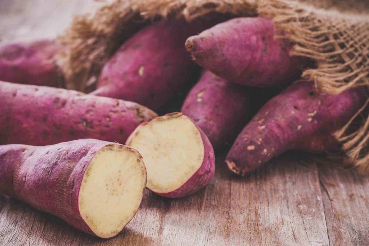 Sweet Potato Storage Tips