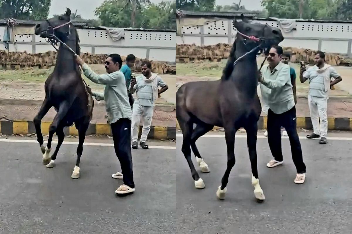 पटना में फेवरेट घोड़े की लगाम थामे दिखे अनंत सिंह, जेल से निकलते ही वायरल हुआ बाहुबली विधायक का शाही अंदाज