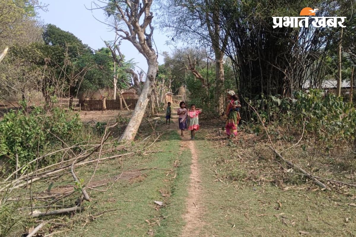 no road in jojoba tola