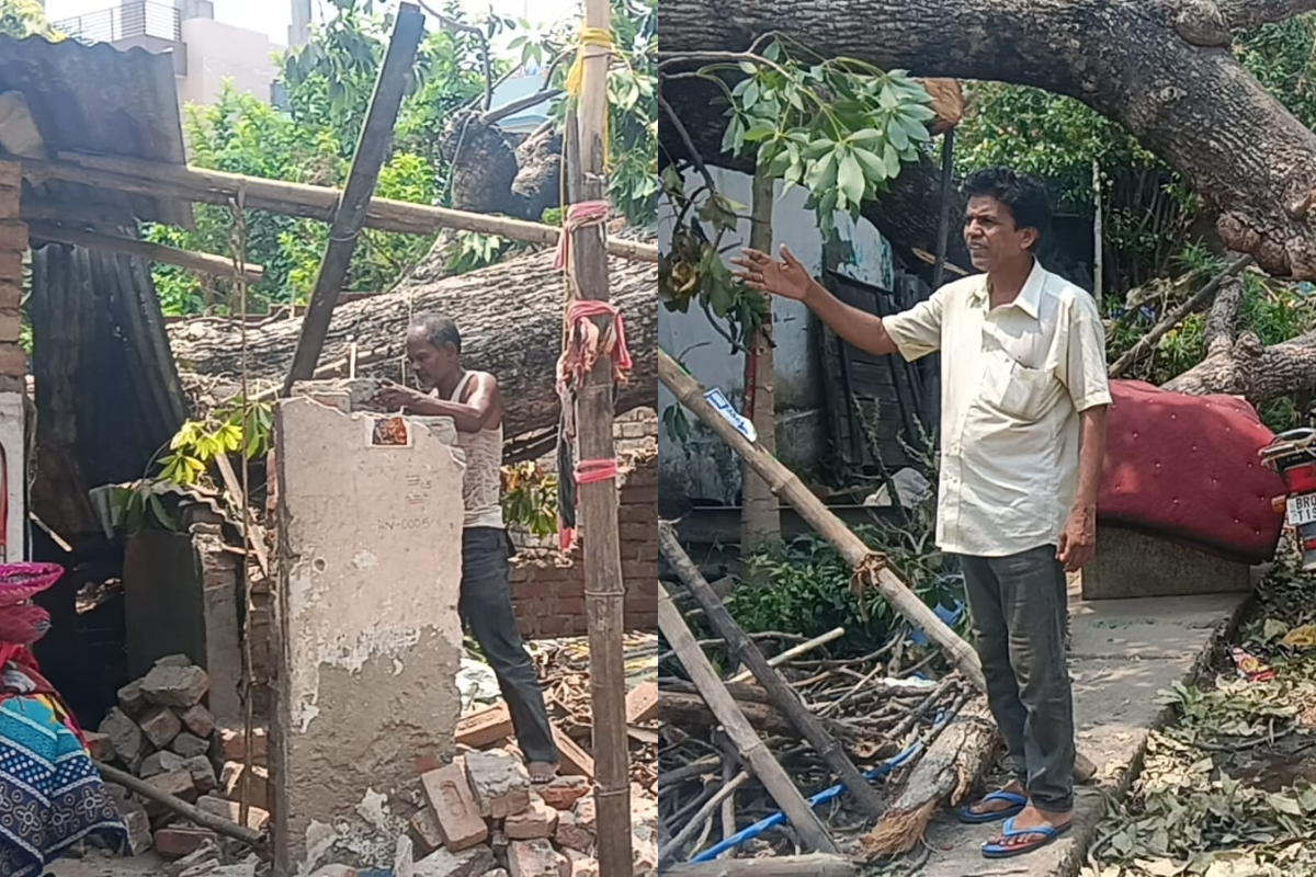 पटना के कन्हैया नगर में विशाल पेड़ गिरने से मकान क्षतिग्रस्त, चार दिन बाद भी प्रशासन ने नहीं लिया संज्ञान