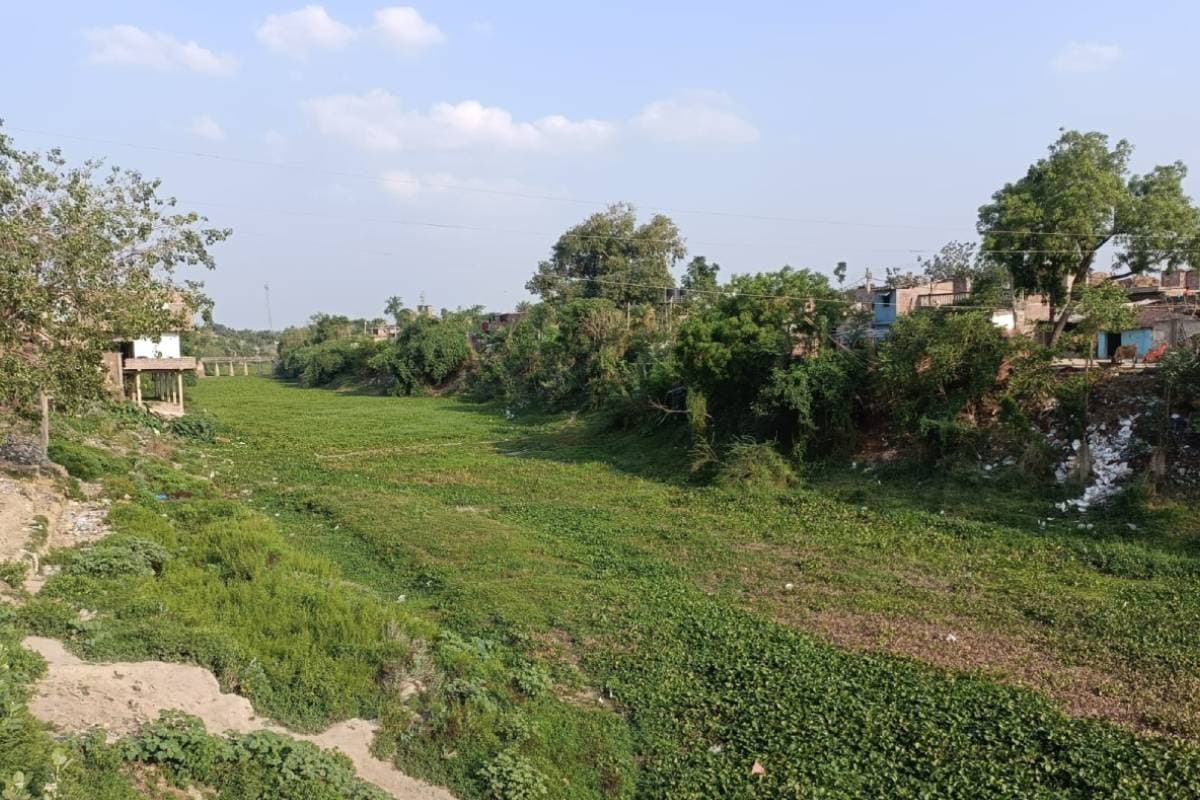 बखरी में अतिक्रमण की मार से सिकुड़ रही छोटी बागमती, नदी की जमीन पर बने मकान, अस्तित्व पर मंडराया संकट