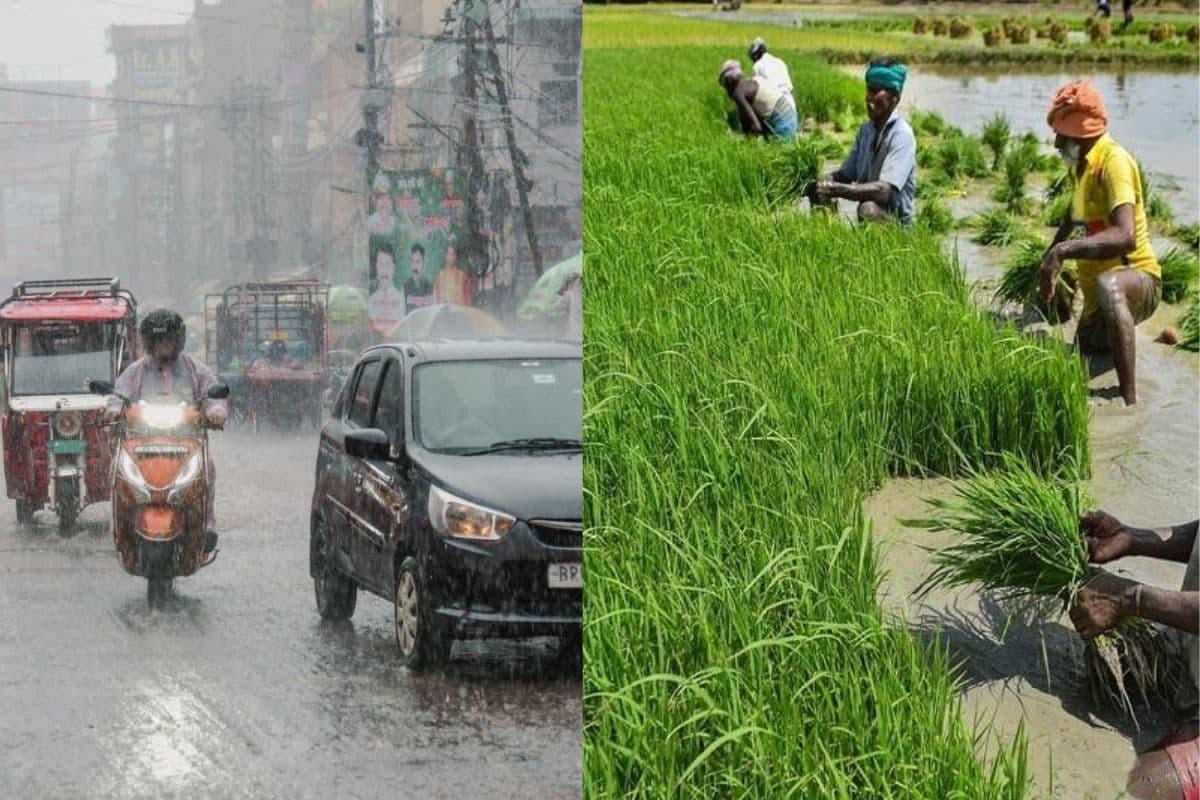 औरंगाबाद शहर समेत कुटुंबा-नवीनगर में झमाझम बारिश, उमस से मिली राहत, किसानों के चेहरे खिले