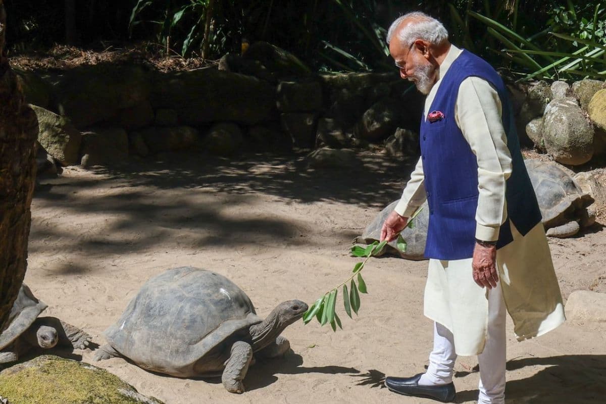 दुनिया का सबसे बुजुर्ग जीव: मिलिए 194 साल के जोनाथन से, पीएम मोदी ने उसी ब्रीड के कछुए से की मुलाकात