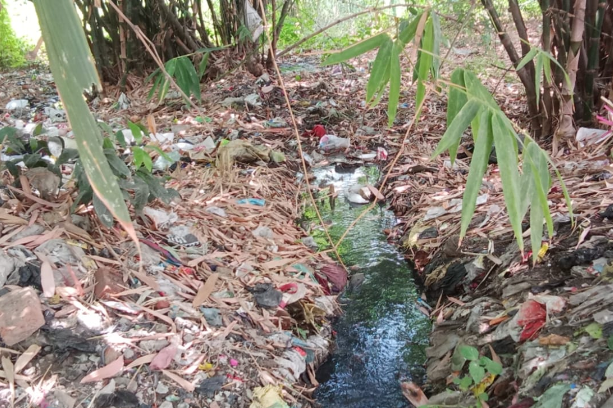दानापुर नगर परिषद में जलाशय पर बढ़ता अतिक्रमण बना मुसीबत, जल निकासी व्यवस्था ठप होने से किसान और ग्रामीण परेशान