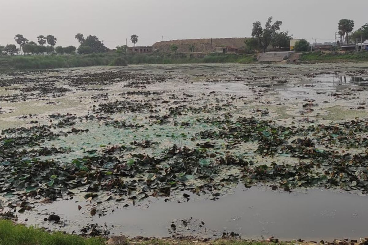 बिहारशरीफ के प्राचीन पुष्करणी तालाब को पर्यटन और आस्था केंद्र बनाने की मांग, पुरानी विरासत के संरक्षण के लिए ग्रामीण हुए एकजुट