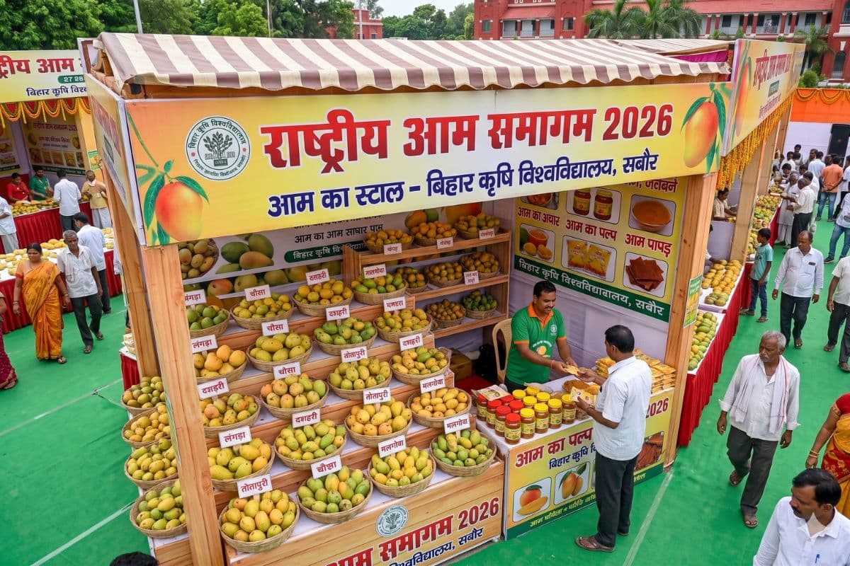 BAU National Mango Festival 2026
