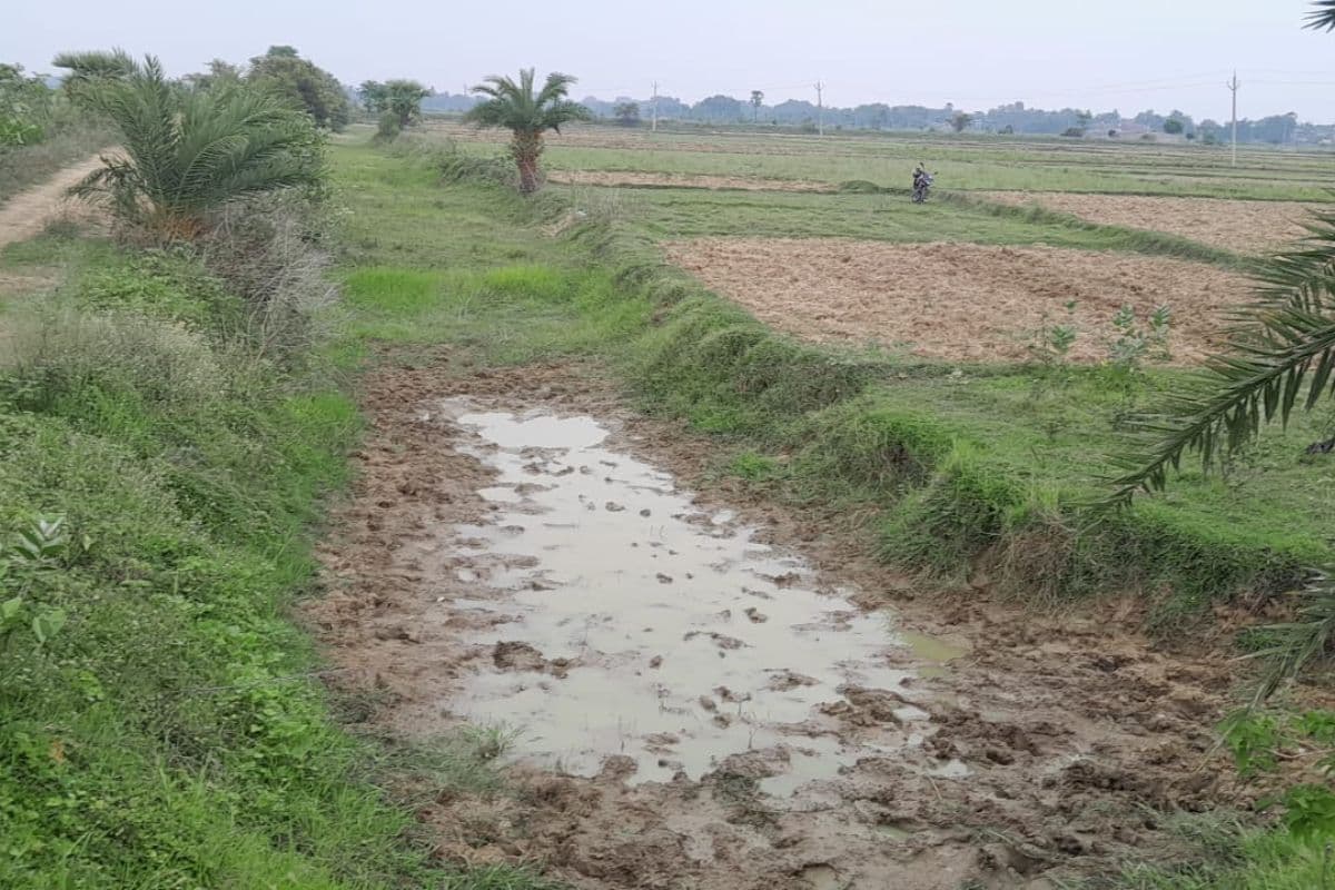 नहरों में पानी नहीं, धान की रोपनी पर गहराया संकट, पंपसेट के सहारे खेती को मजबूर किसान