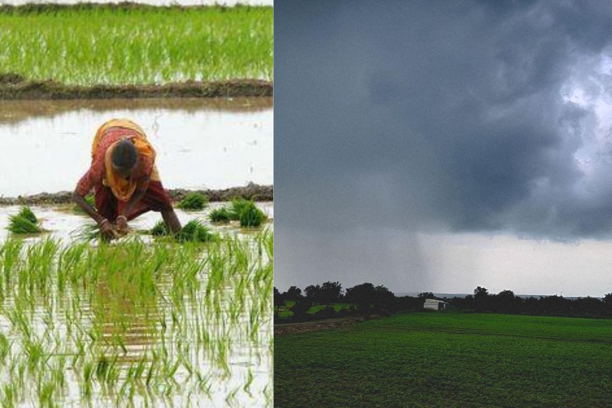 गोपालगंज में झमाझम बारिश से मौसम सुहाना, किसानों के लिए वरदान बनी बरसात