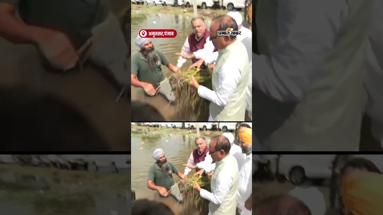 Punjab Flood बाढ़ प्रभावितों से मिले Shivraj Singh Chouhan | Shorts | Amritsar Flood Update