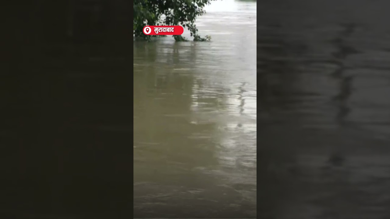 Ramgang उफान पर! River ने पार किया खतरे का Mark | Shorts | UP Rain Alert | Flood Warning