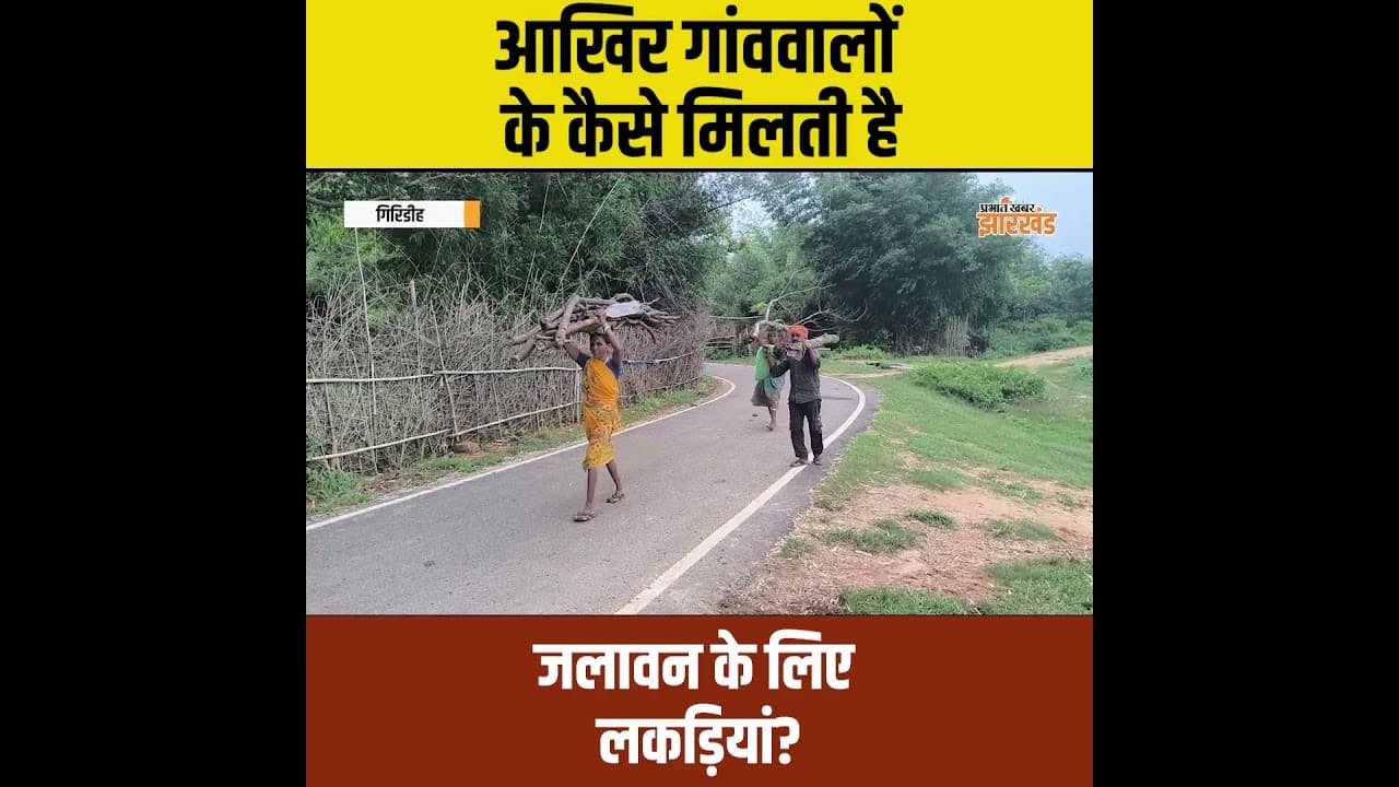 Giridih: जंगल से घर तक पहुंचती है जलावन की लकड़ी, गांववालों की जिंदगी की ये कहानी देखिए