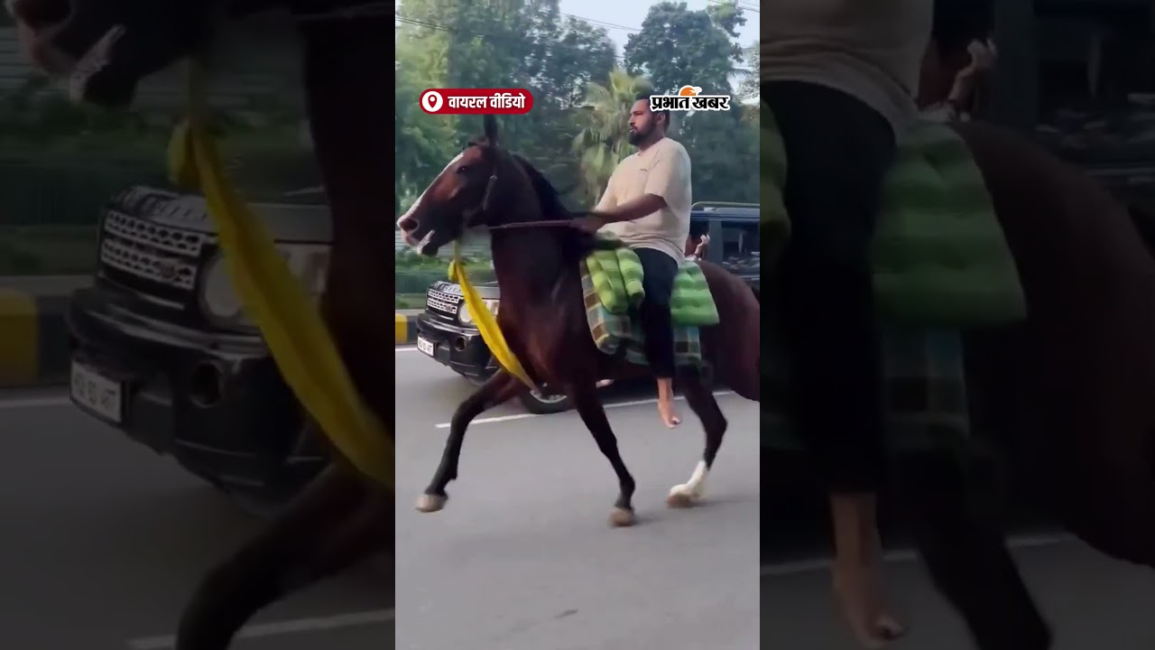 ViralVideo:कार पर अनंत सिंह, घोड़े की सवारी करता बेटा Viral हुआ अनोखा अंदाज़!