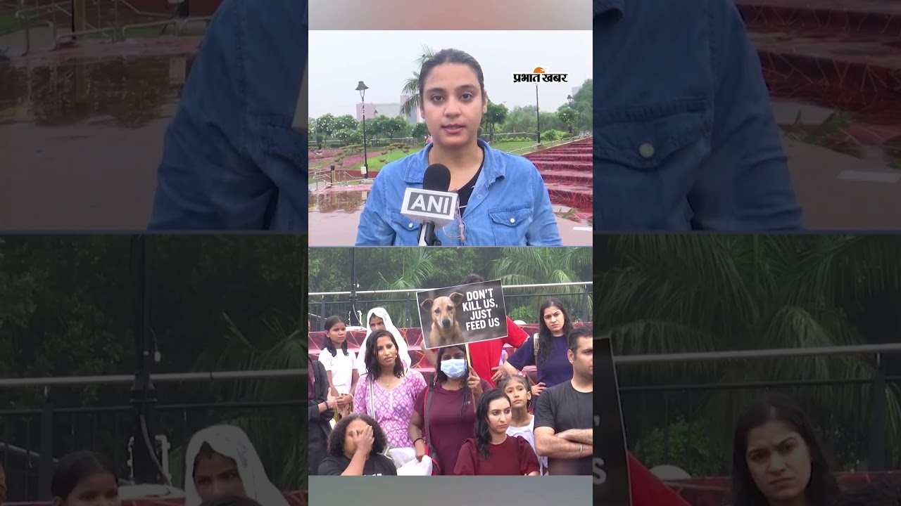 “कुत्ते नहीं चाहिए…हटाओ” सुप्रीम कोर्ट के आदेश के खिलाफ एनिमल राइट्स एक्टिविस्ट का विरोध | Shorts