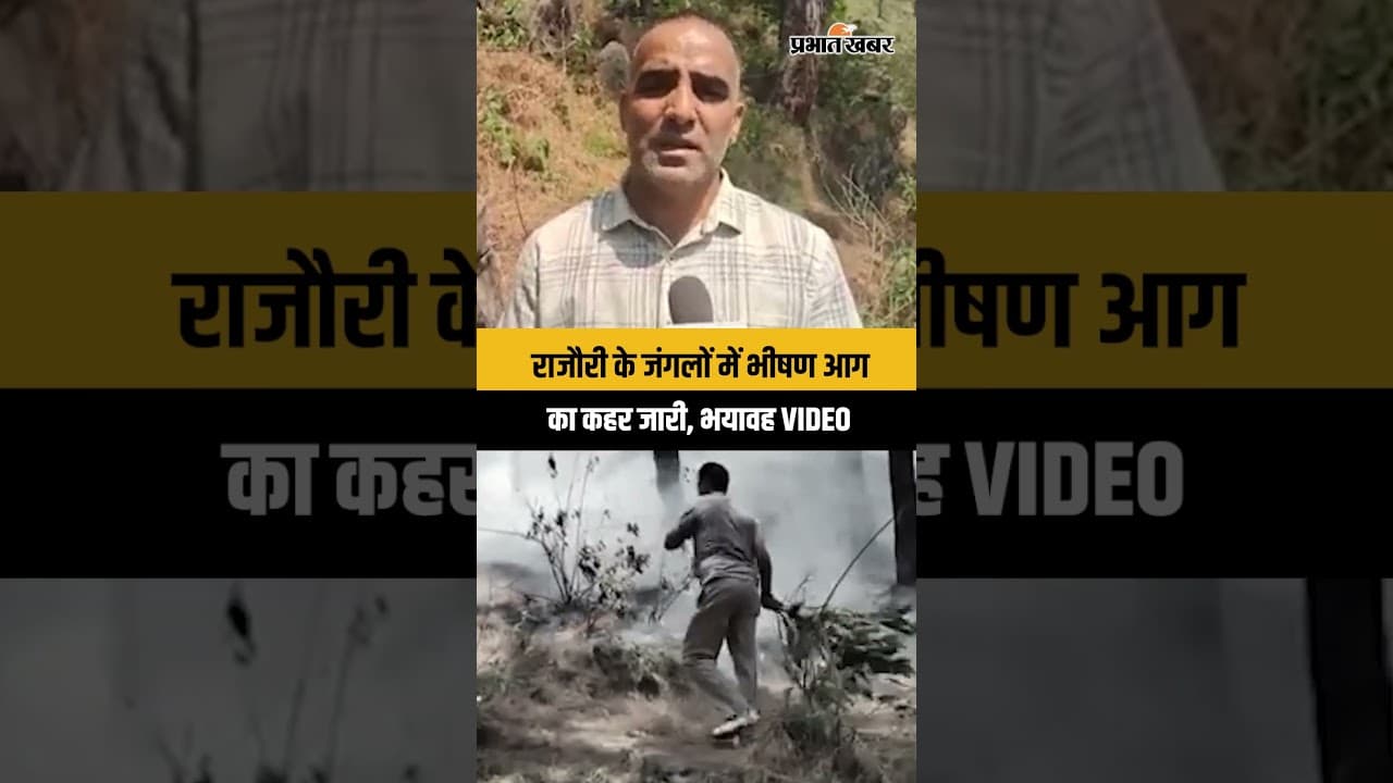 Rajouri के Forest में आग का कहर जारी, आग बुझाने में जुटे अधिकारी और दमकल दल