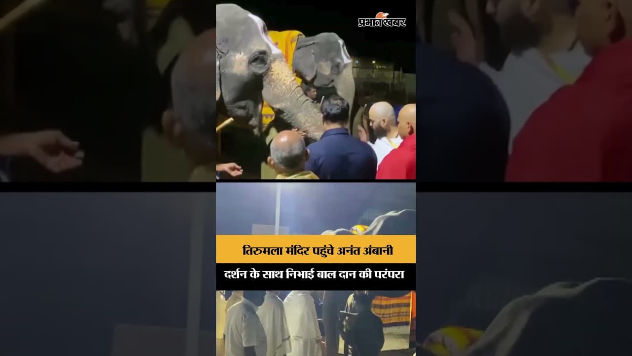 तिरुमला मंदिर पहुंचे अनंत अंबानी, किए दर्शन