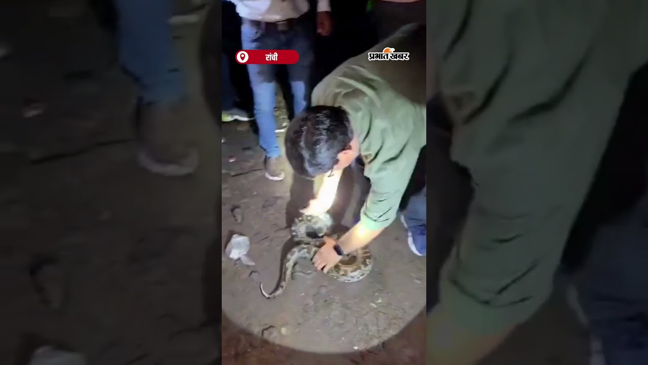 Ghar में Ajgar देख मचा हड़कंप सुरक्षित रेस्क्यू ने दी राहत | Shorts