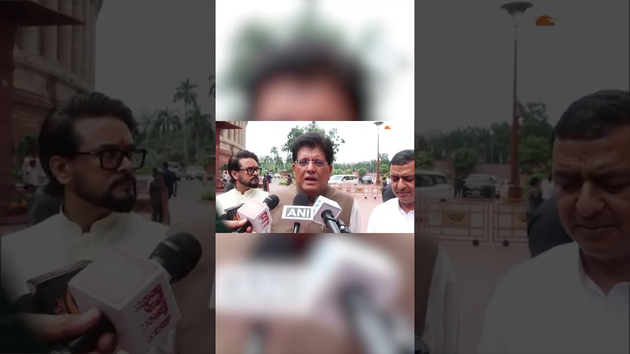 विवाद के बीच मुस्कुराते दिखे पीयूष गोयल