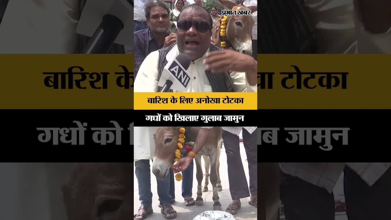 Bhopal Rain Ritual: बारिश के लिए गधों को खिलाए गुलाब जामुन, Bhopal में अनोखी परंपरा